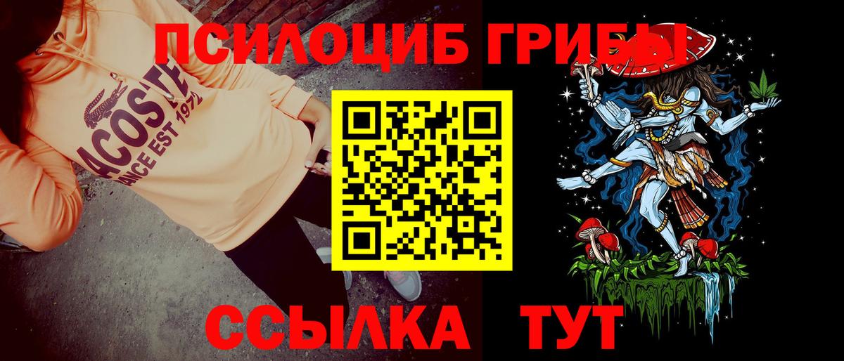 Псилоцибиновые грибы GOLDEN TEACHER  Вход с VPN  Псилоцибиновые грибы Psilocybe  Саров 
