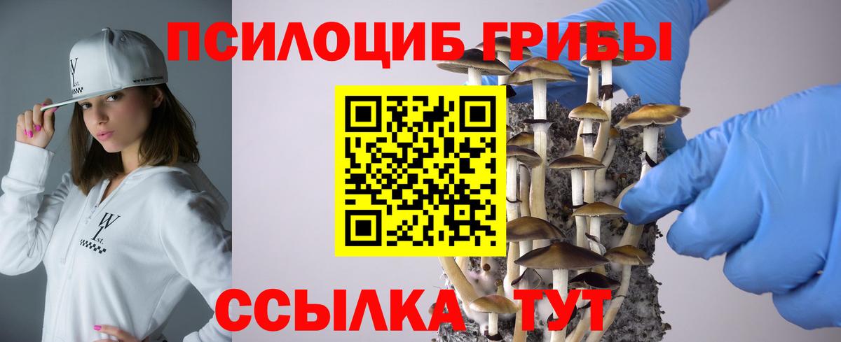 Галлюциногенные грибы мицелий Саров